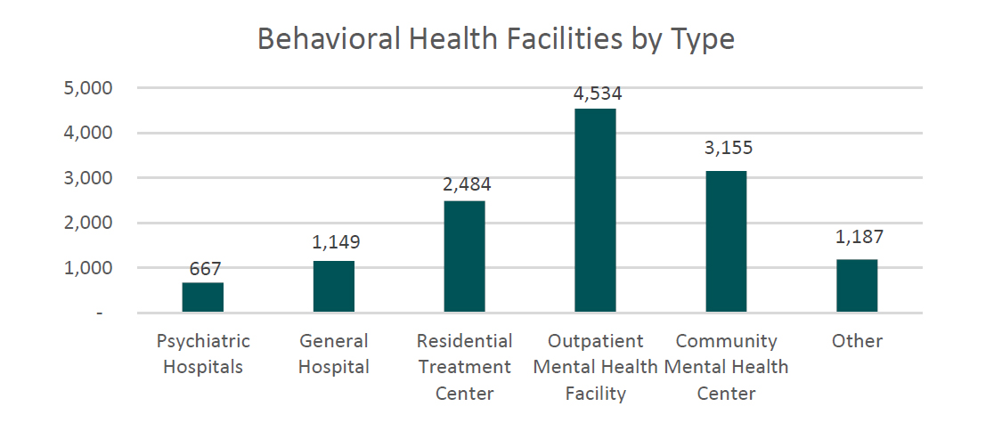 Behavioral Health Facilities by Type